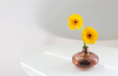 Sarı gerbera cam vazoda beyaz masada beyaz arkaplanda