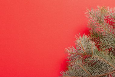 Kırmızı Noel arkaplanındaki yeşil köknar dalları