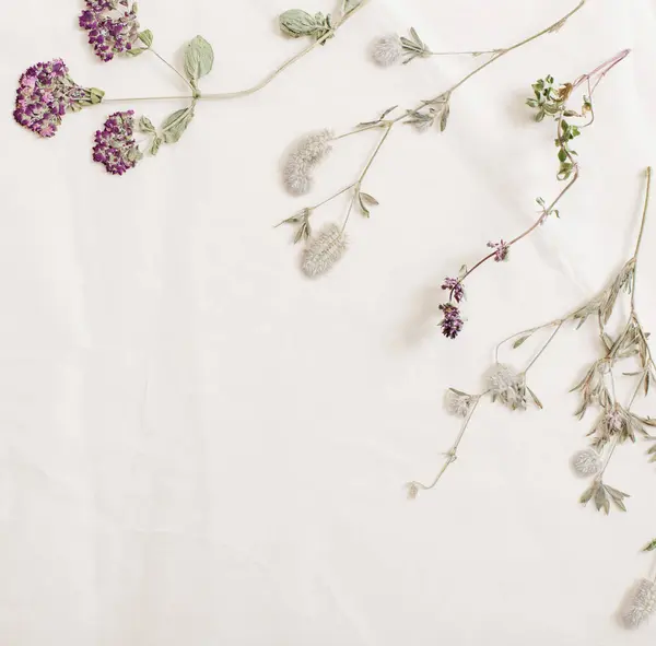 Sušené Květiny Zmačkaném Starém Papíru — Stock fotografie