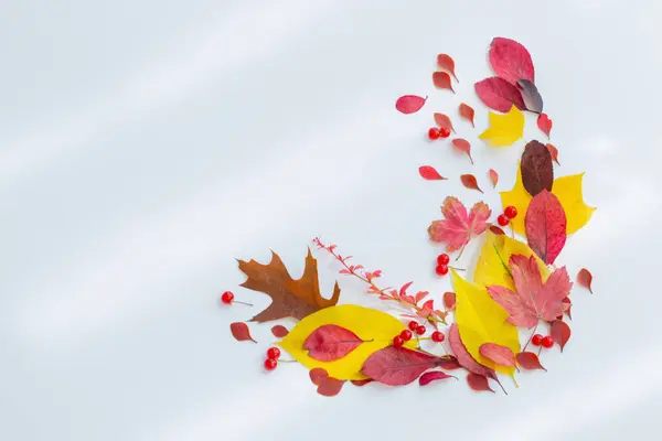 Outono Folhas Vermelhas Amarelas Fundo Branco — Fotografia de Stock