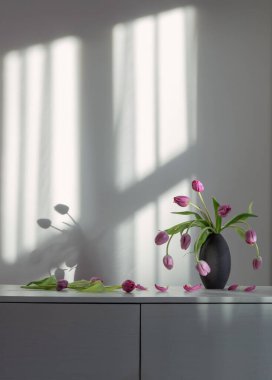 arka plandaki beyaz rafta mor laleler