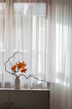 arkaplan penceresinde sonbahar kompozisyonu