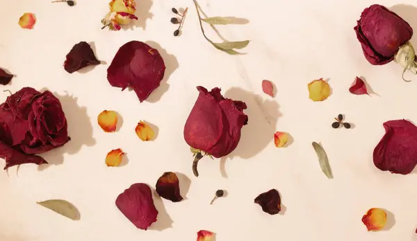 dried red  roses on marble background