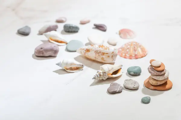 Meeressteine Und Muscheln Auf Weißem Marmorhintergrund Stockfoto