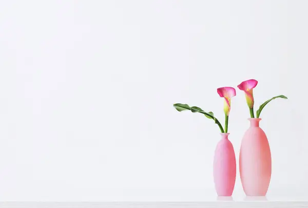 Beautiful Pink Flowers Vases White Background — Stock Photo, Image