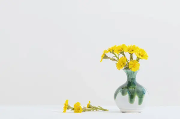 Koliznoha Květiny Keramické Vázy Bílém Pozadí — Stock fotografie