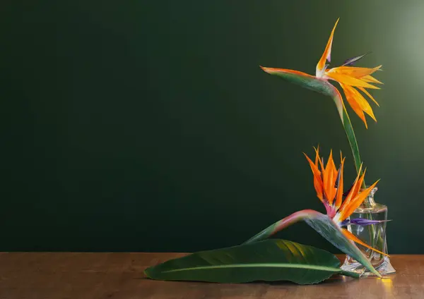 Ptak Raju Kwiaty Wazonie Zielonym Tle — Zdjęcie stockowe