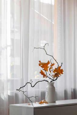 arkaplan penceresinde sonbahar kompozisyonu