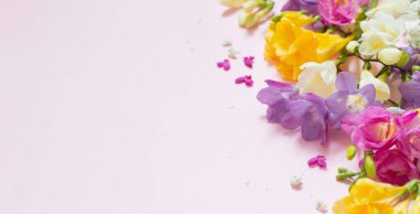 Pastel pembe arka planda bahar çiçekleri