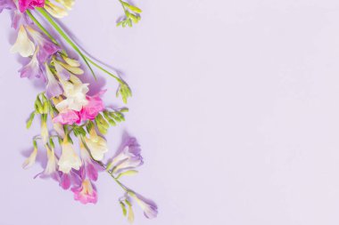 açık mor arkaplanda pembe, beyaz ve mor çiçekler