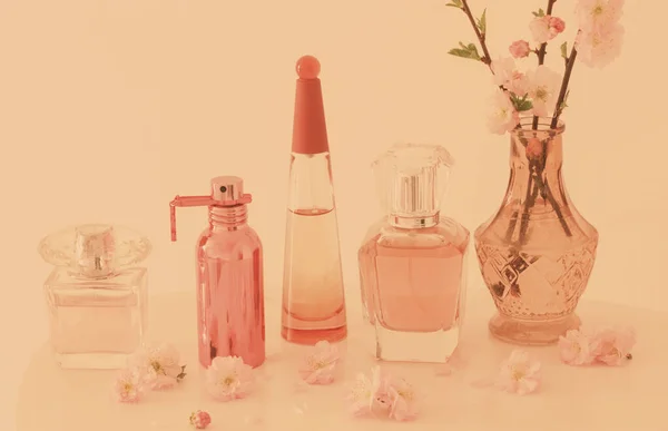 Ramos Amêndoas Florescentes Vaso Perfumes Fundo Pêssego — Fotografia de Stock