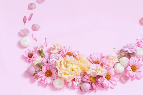 Beautiful Flowers Pink Background — Stock Photo, Image