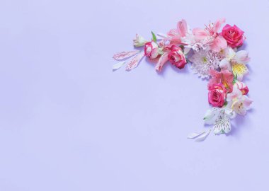 Mor arka planda alstroemerya ve kasımpatı çiçekleri