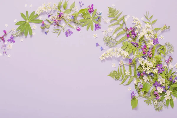 Frühlingsblumen Auf Violettem Papier Hintergrund — Stockfoto