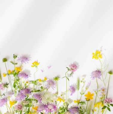 Beyaz arka planda yaz çiçekleri