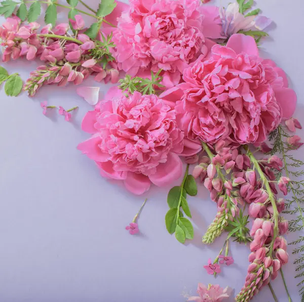 Розовые Красивые Цветы Голубом Фоне Бумаги — стоковое фото