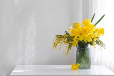 Beyaz arkaplanda cam vazoda sarı bahar çiçekleri
