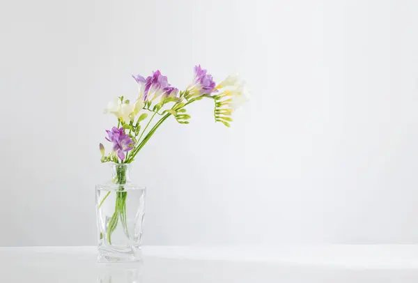 Freesia Glass Vase White Background — Stock Photo, Image