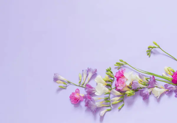 pink, white and purple flowers on light purple background