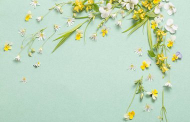 Kağıt arkaplanda yabani çiçekler