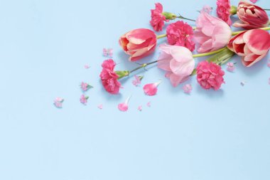 Mavi arka planda güzel bahar çiçekleri