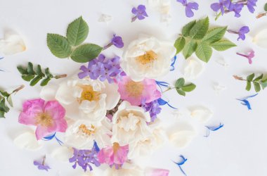 beyaz zemin üzerine yaz çiçek