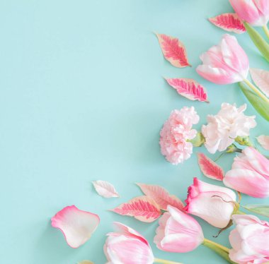 Mavi arka planda güzel pembe bahar çiçekleri