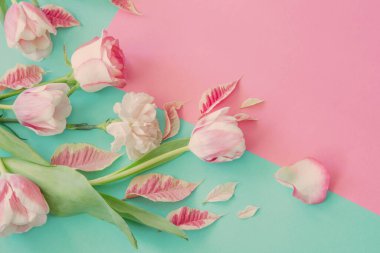 Mavi arka planda güzel pembe bahar çiçekleri