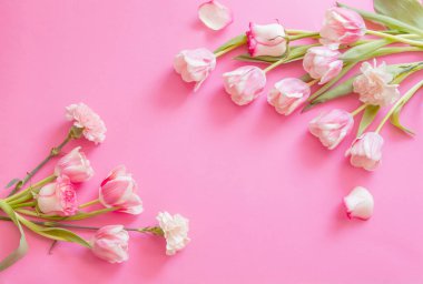 Pembe kağıt arkaplanda pembe laleler