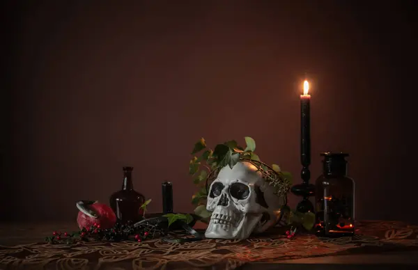 still life in vanitas style with a skull on a brown background