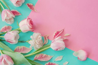 Mavi arka planda güzel pembe bahar çiçekleri