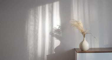 Arkaplan beyaz duvarında vazoda kuru tahıl süsleme bitkileri