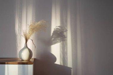 Arkaplan beyaz duvarında vazoda kuru tahıl süsleme bitkileri