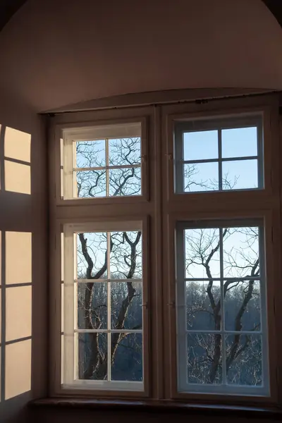 white wooden window with sunny landscape with branches and sky