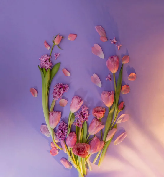 Flori Roz Primăvară Fundal Hârtie Violet — Fotografie, imagine de stoc
