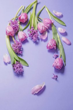mor kağıtta bahar çiçekleri