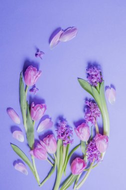 mor kağıtta bahar çiçekleri