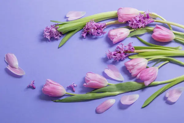 Fleurs Printemps Sur Fond Papier Violet — Photo