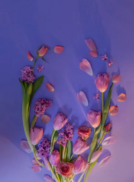 Primavera Fiori Rosa Sfondo Carta Viola — Foto Stock