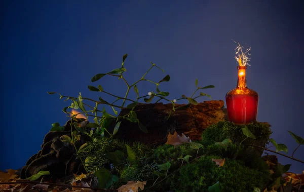 Бутылка Зельем Ночном Лесу — стоковое фото