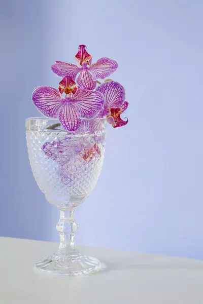 Purple Orchid Glass Close Purple Background — Stock Photo, Image
