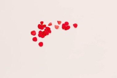 Beyaz arkaplanda kırmızı sardunya çerçevesi