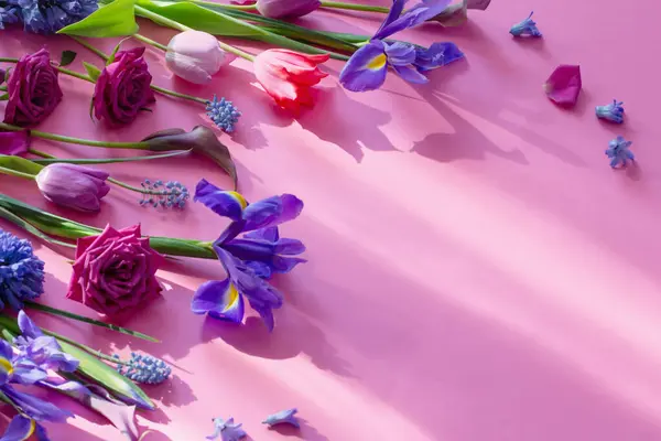 Mooie Lente Bloemen Roze Papier Achtergrond — Stockfoto