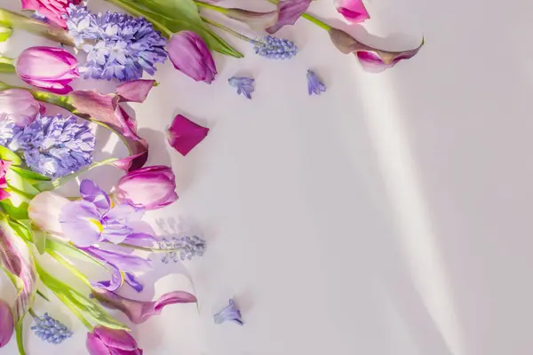 Όμορφα Ανοιξιάτικα Λουλούδια Λευκό Φόντο — Φωτογραφία Αρχείου