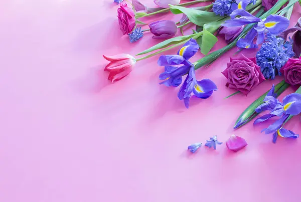Hermosas Flores Primavera Sobre Fondo Papel Rosa —  Fotos de Stock