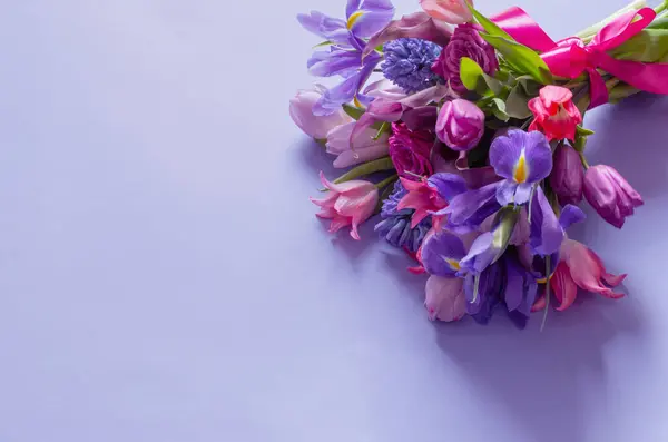 Schöne Frühlingsblumen Auf Lila Papier Hintergrund — Stockfoto