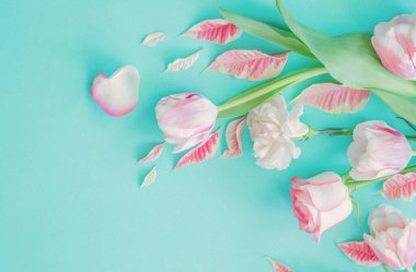 Mavi arka planda güzel pembe bahar çiçekleri