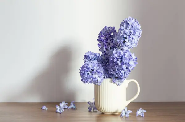 Сині Весняні Квіти Керамічній Чашці Білий Фон — стокове фото