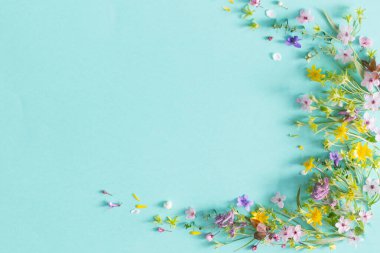 Vahşi bahar çiçekleri kağıt arkaplanda