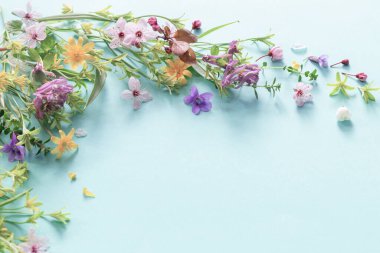 Vahşi bahar çiçekleri kağıt arkaplanda